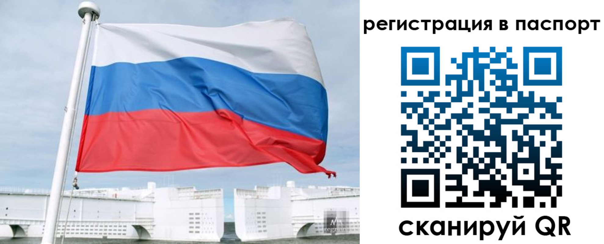 регистрация в Бавлах